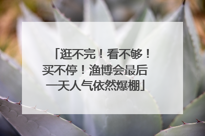 逛不完！看不够！买不停！渔博会最后一天人气依然爆棚