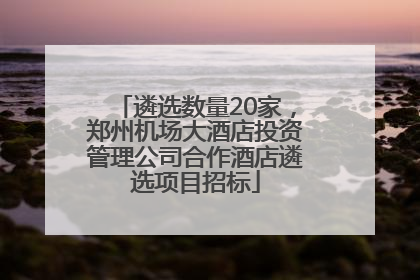 遴选数量20家，郑州机场大酒店投资管理公司合作酒店遴选项目招标
