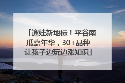 遛娃新地标！平谷南瓜嘉年华，30+品种让孩子边玩边涨知识