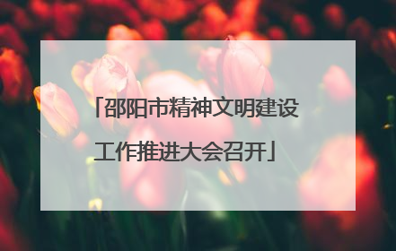 邵阳市精神文明建设工作推进大会召开