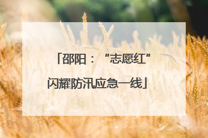 邵阳：“志愿红”闪耀防汛应急一线