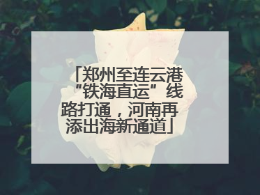 郑州至连云港“铁海直运”线路打通，河南再添出海新通道