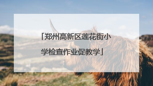 郑州高新区莲花街小学检查作业促教学