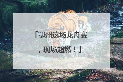 鄂州这场龙舟赛，现场超燃！