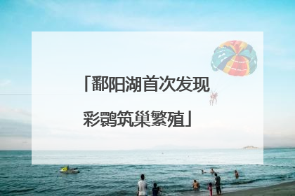 鄱阳湖首次发现彩鹮筑巢繁殖