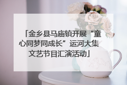 金乡县马庙镇开展“童心同梦同成长”运河大集文艺节目汇演活动
