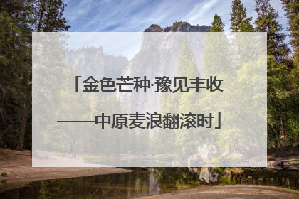 金色芒种·豫见丰收——中原麦浪翻滚时