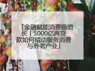 金融赋能消费稳增长丨5000亿再贷款如何撬动服务消费与养老产业