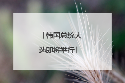 韩国总统大选即将举行