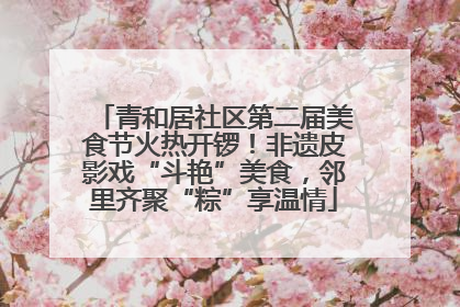 青和居社区第二届美食节火热开锣！非遗皮影戏“斗艳”美食，邻里齐聚“粽”享温情
