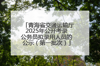青海省交通运输厅2025年公开考录公务员拟录用人员的公示（第一批次）