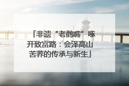 非遗“老鹳嘴”啄开致富路：会泽高山苦荞的传承与新生