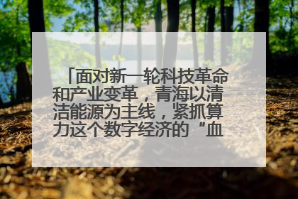 面对新一轮科技革命和产业变革，青海以清洁能源为主线，紧抓算力这个数字经济的“血液”、科技主权的“筹码”、产业升级的“杠杆”、绿色转型的“支点”，勇于撬动国家“双碳”战略、“东数西算”工程重大发展新机遇
