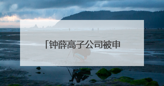 钟薛高子公司被申请破产 创始人账号“钟薛高老林”粉丝仅1800余人