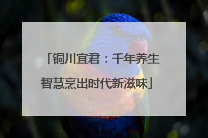 铜川宜君：千年养生智慧烹出时代新滋味
