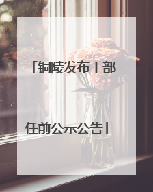 铜陵发布干部任前公示公告