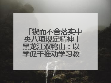锲而不舍落实中央八项规定精神丨黑龙江双鸭山：以学促干推动学习教育走深走实 从小事入手写好“民生答卷”