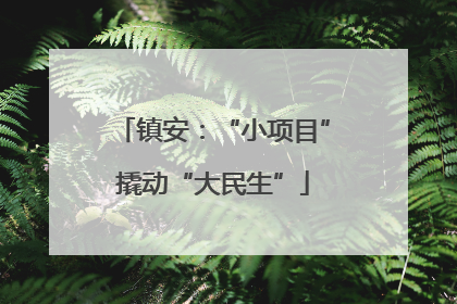 镇安：“小项目”撬动“大民生”