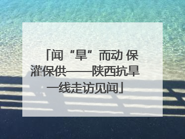 闻“旱”而动 保灌保供——陕西抗旱一线走访见闻