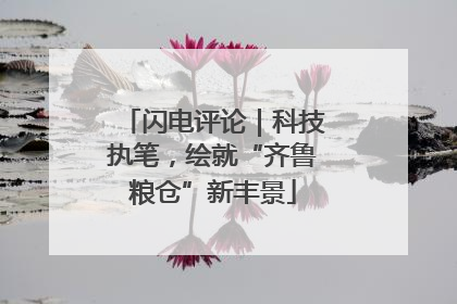 闪电评论｜科技执笔，绘就“齐鲁粮仓”新丰景