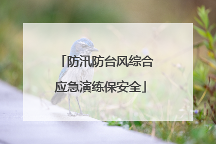 防汛防台风综合应急演练保安全