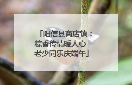 阳信县商店镇：粽香传情暖人心 老少同乐庆端午