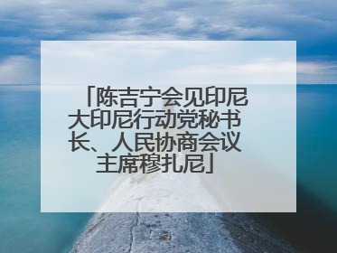 陈吉宁会见印尼大印尼行动党秘书长、人民协商会议主席穆扎尼