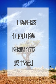 陈阳波任四川德阳绵竹市委书记