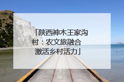 陕西神木王家沟村：农文旅融合 激活乡村活力