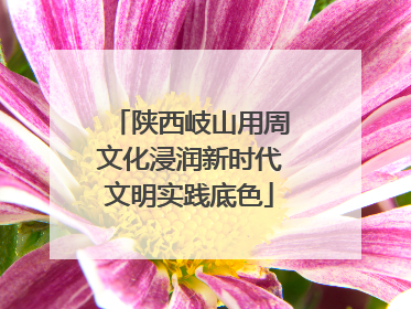 陕西岐山用周文化浸润新时代文明实践底色