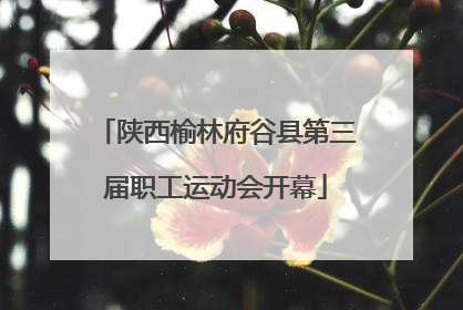陕西榆林府谷县第三届职工运动会开幕
