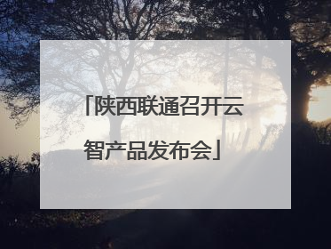 陕西联通召开云智产品发布会