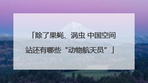 除了果蝇、涡虫 中国空间站还有哪些“动物航天员”