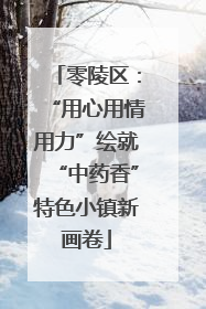 零陵区：“用心用情用力”绘就“中药香”特色小镇新画卷