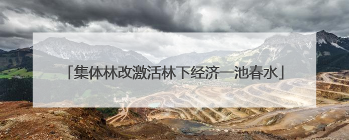 集体林改激活林下经济一池春水