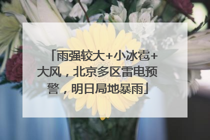 雨强较大+小冰雹+大风，北京多区雷电预警，明日局地暴雨
