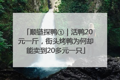 顺链探鸭①｜活鸭20元一斤，街头烤鸭为何却能卖到20多元一只