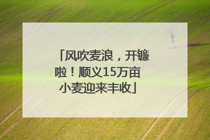 风吹麦浪，开镰啦！顺义15万亩小麦迎来丰收