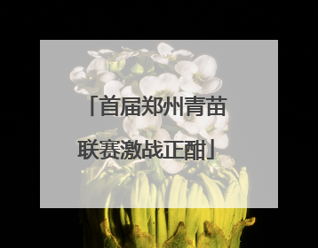 首届郑州青苗联赛激战正酣