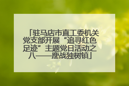 驻马店市直工委机关党支部开展“追寻红色足迹”主题党日活动之八——鏖战独树镇