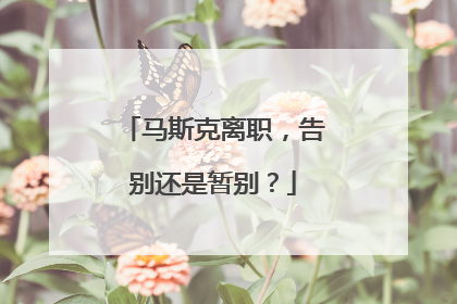 马斯克离职，告别还是暂别？