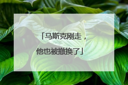 马斯克刚走，他也被撤换了