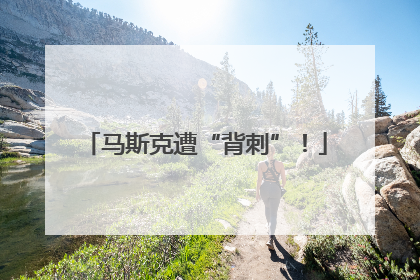 马斯克遭“背刺”！