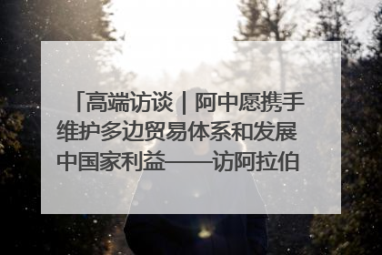 高端访谈｜阿中愿携手维护多边贸易体系和发展中国家利益——访阿拉伯议会议长亚马希