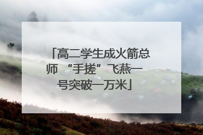高二学生成火箭总师 “手搓”飞燕一号突破一万米