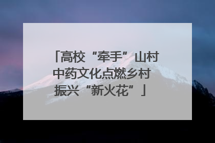 高校“牵手”山村 中药文化点燃乡村振兴“新火花”