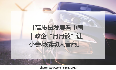 高质量发展看中国｜政企“月月谈”让小会场撬动大营商