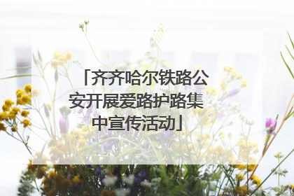 齐齐哈尔铁路公安开展爱路护路集中宣传活动