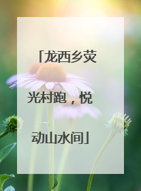 龙西乡荧光村跑，悦动山水间