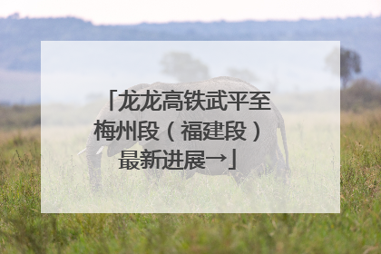 龙龙高铁武平至梅州段（福建段）最新进展→
